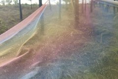 Duha_03