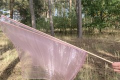 Ruzova_01